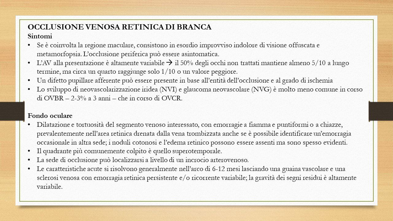 oculista, corsano, carucci, oculista carucci