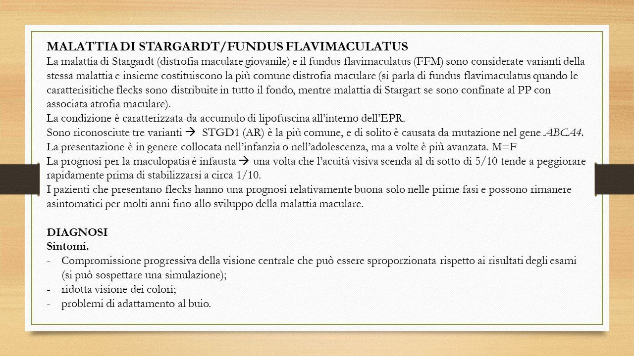 oculista, corsano, carucci, oculista carucci