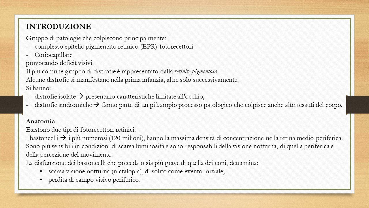 oculista, corsano, carucci, oculista carucci