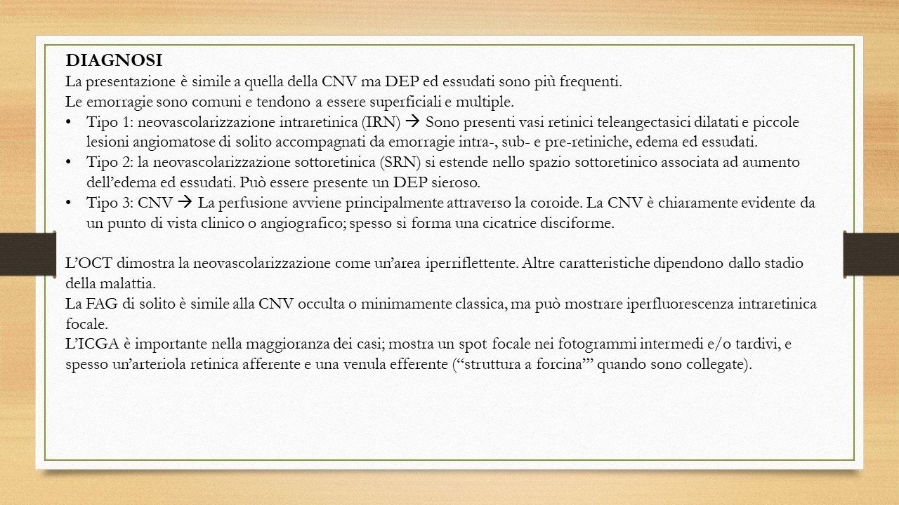oculista, corsano, carucci, oculista carucci