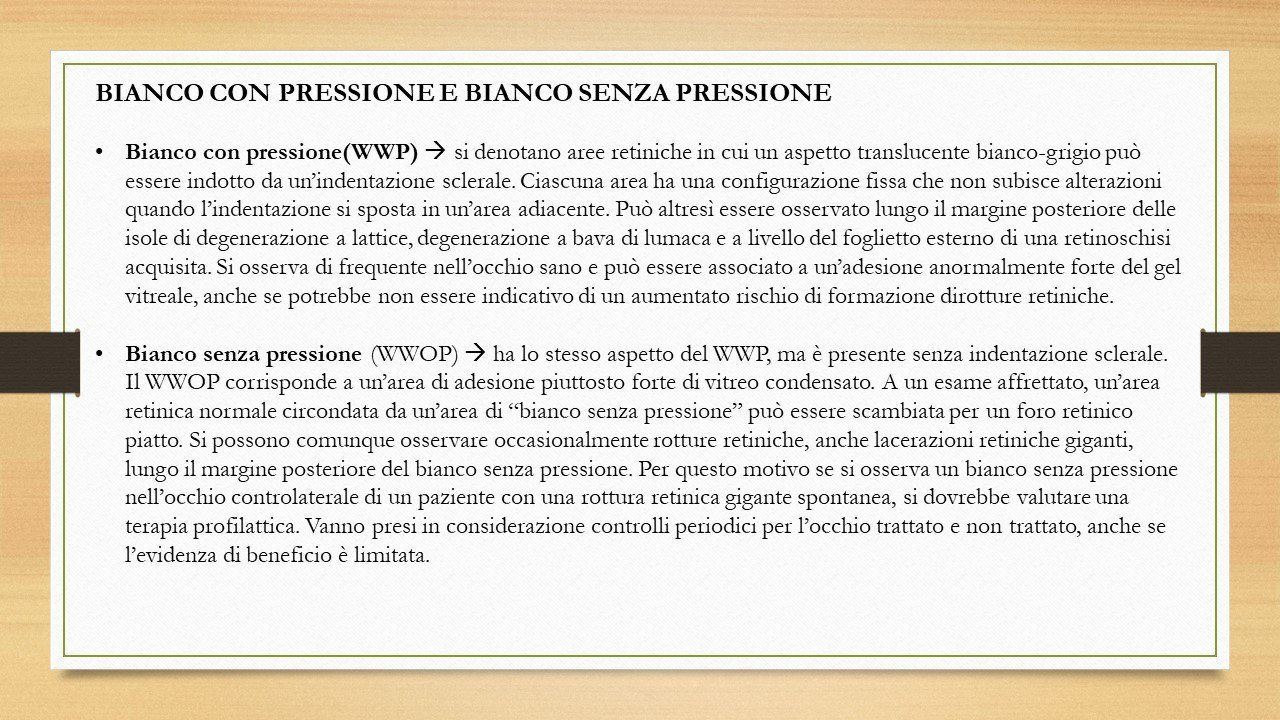 oculista, corsano, carucci, oculista carucci