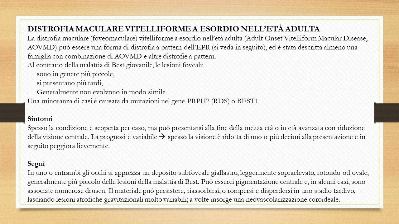 oculista, corsano, carucci, oculista carucci