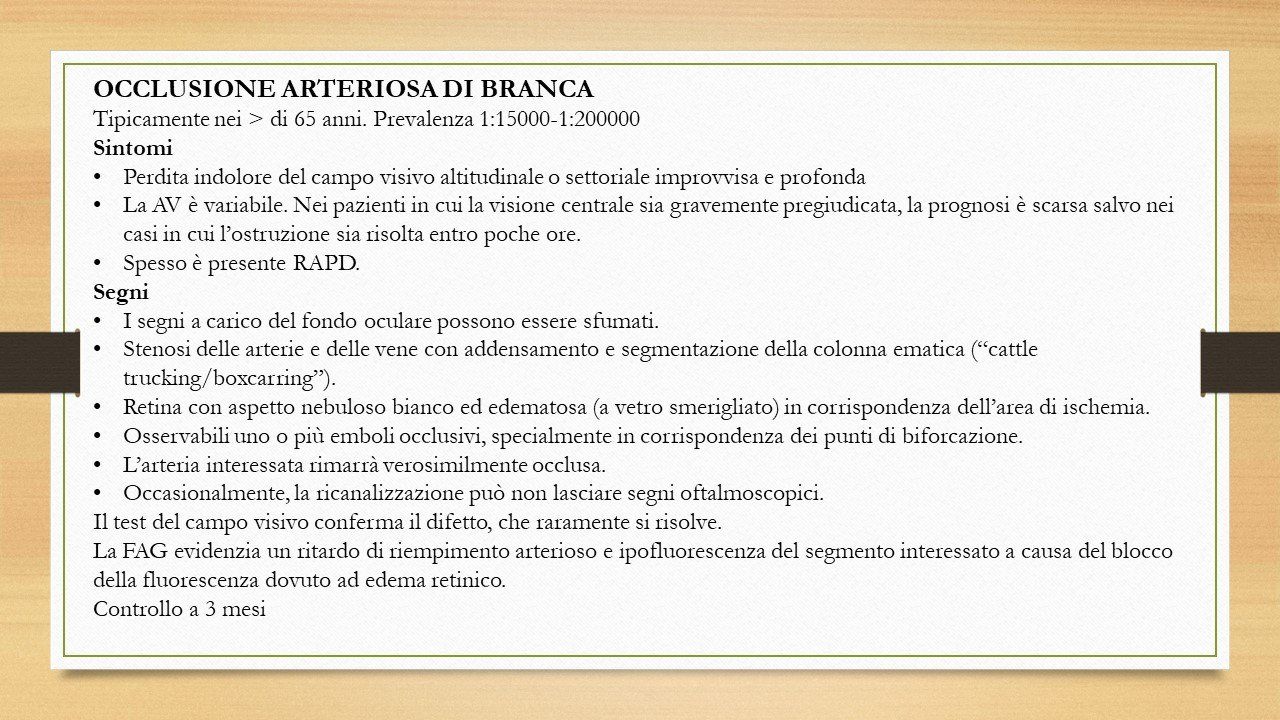 oculista, corsano, carucci, oculista carucci