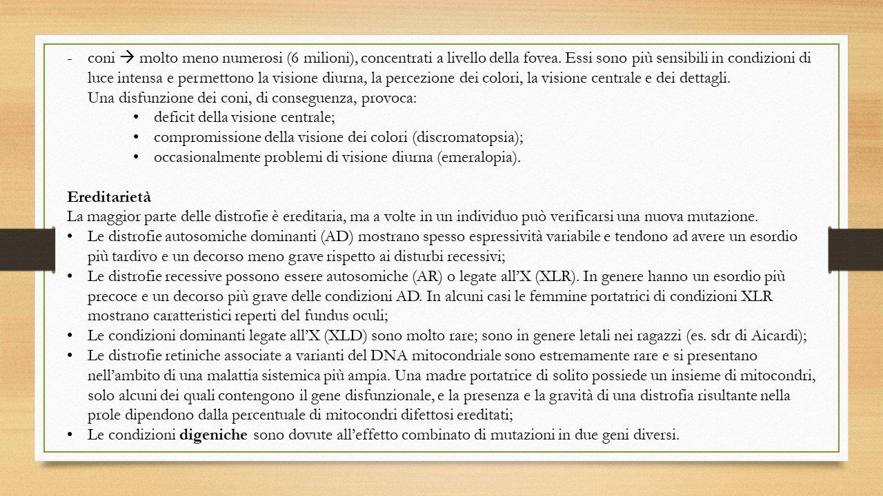 oculista, corsano, carucci, oculista carucci