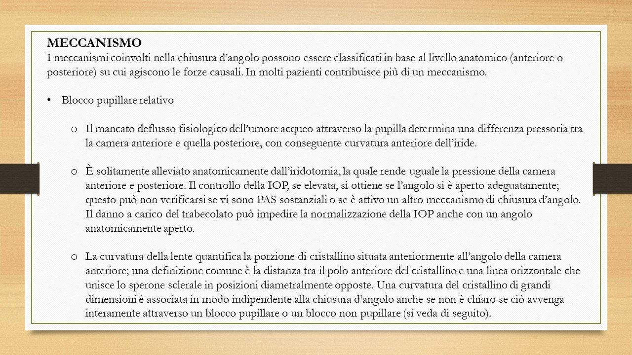 oculista, corsano, carucci, oculista carucci