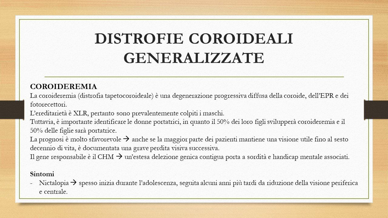 oculista, corsano, carucci, oculista carucci
