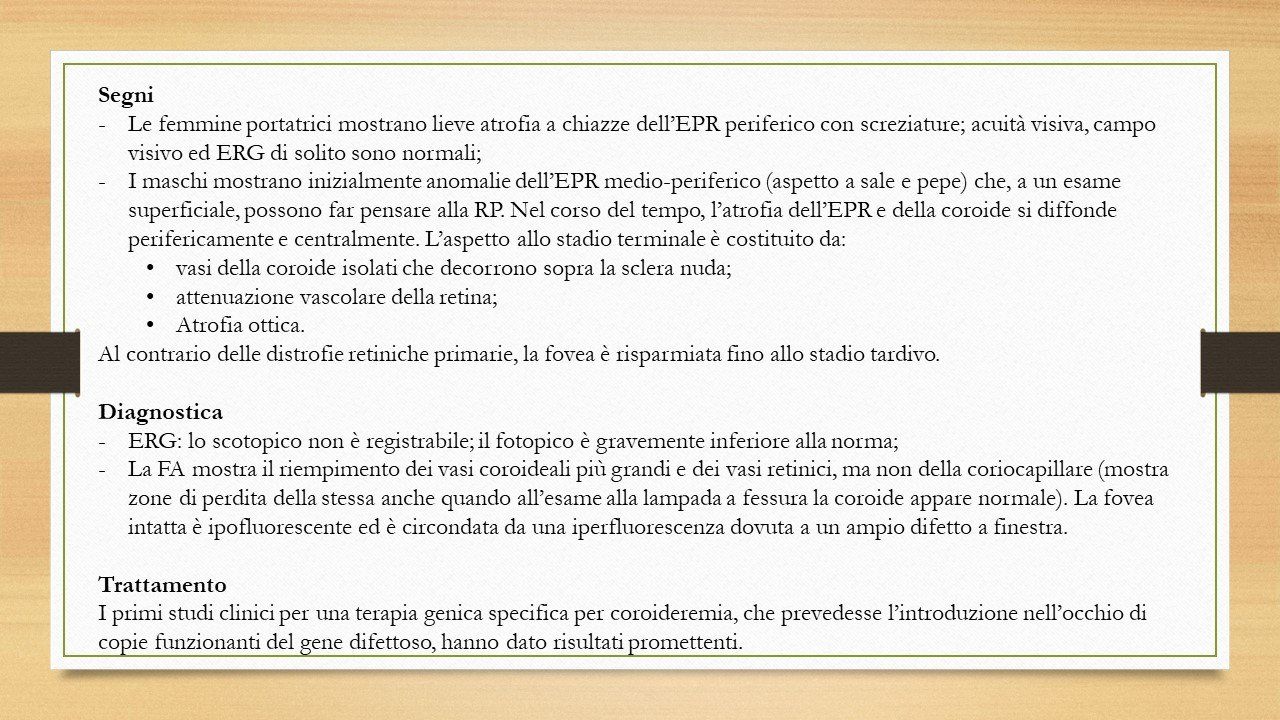 oculista, corsano, carucci, oculista carucci