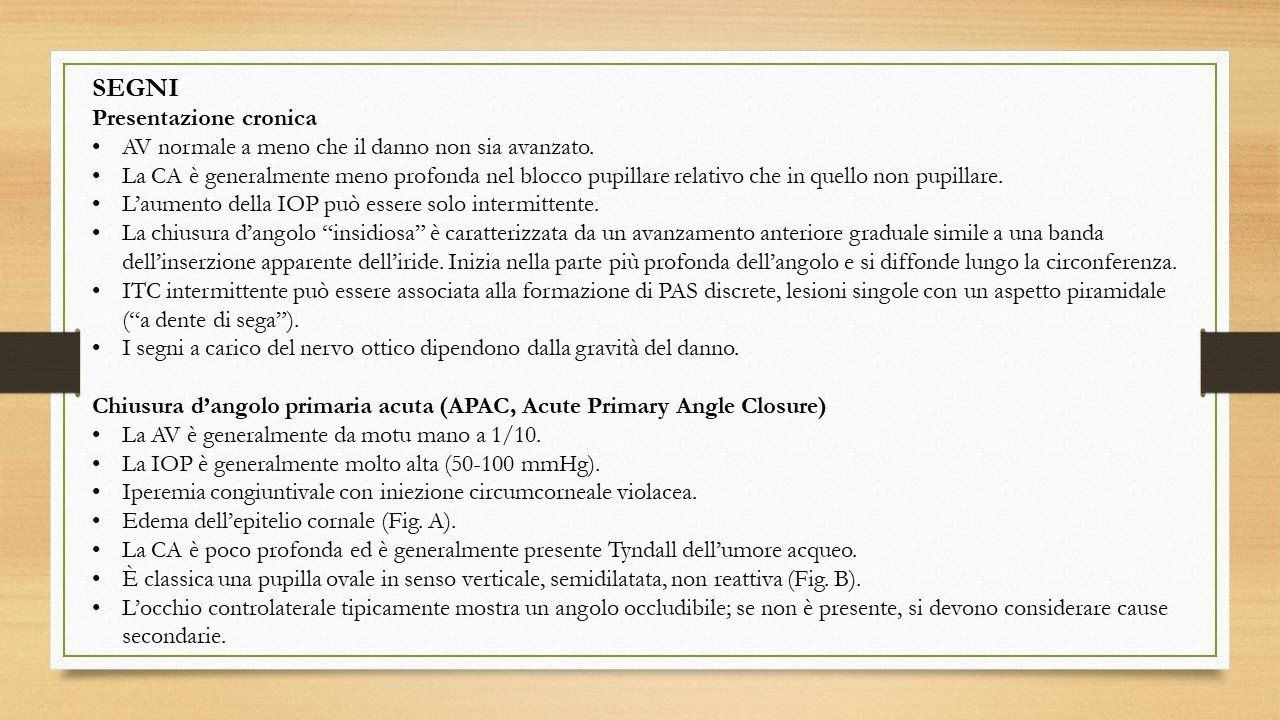 oculista, corsano, carucci, oculista carucci