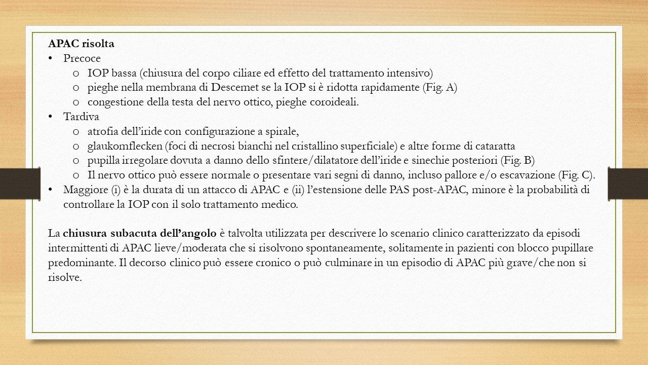 oculista, corsano, carucci, oculista carucci
