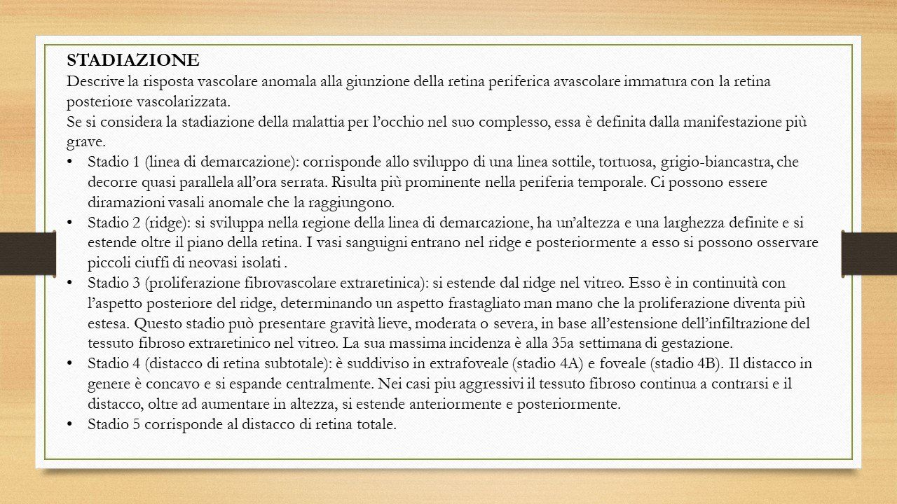 oculista, corsano, carucci, oculista carucci