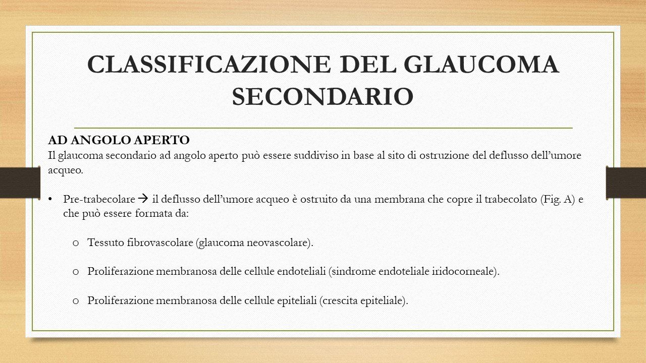oculista, corsano, carucci, oculista carucci