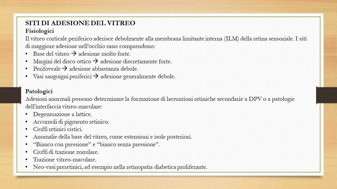 oculista, corsano, carucci, oculista carucci