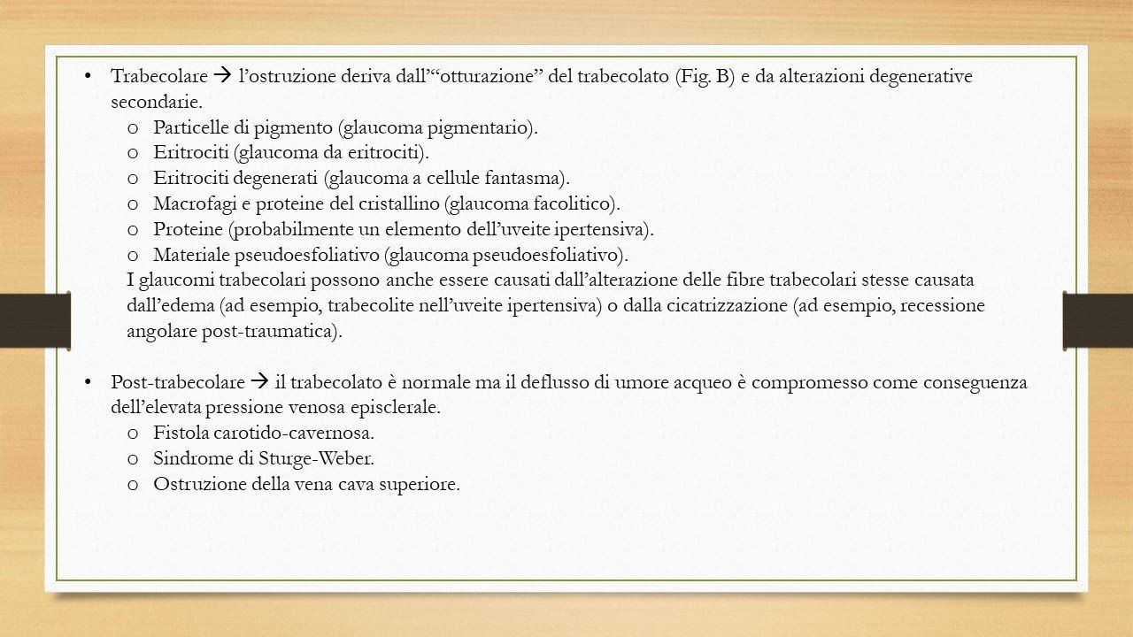 oculista, corsano, carucci, oculista carucci