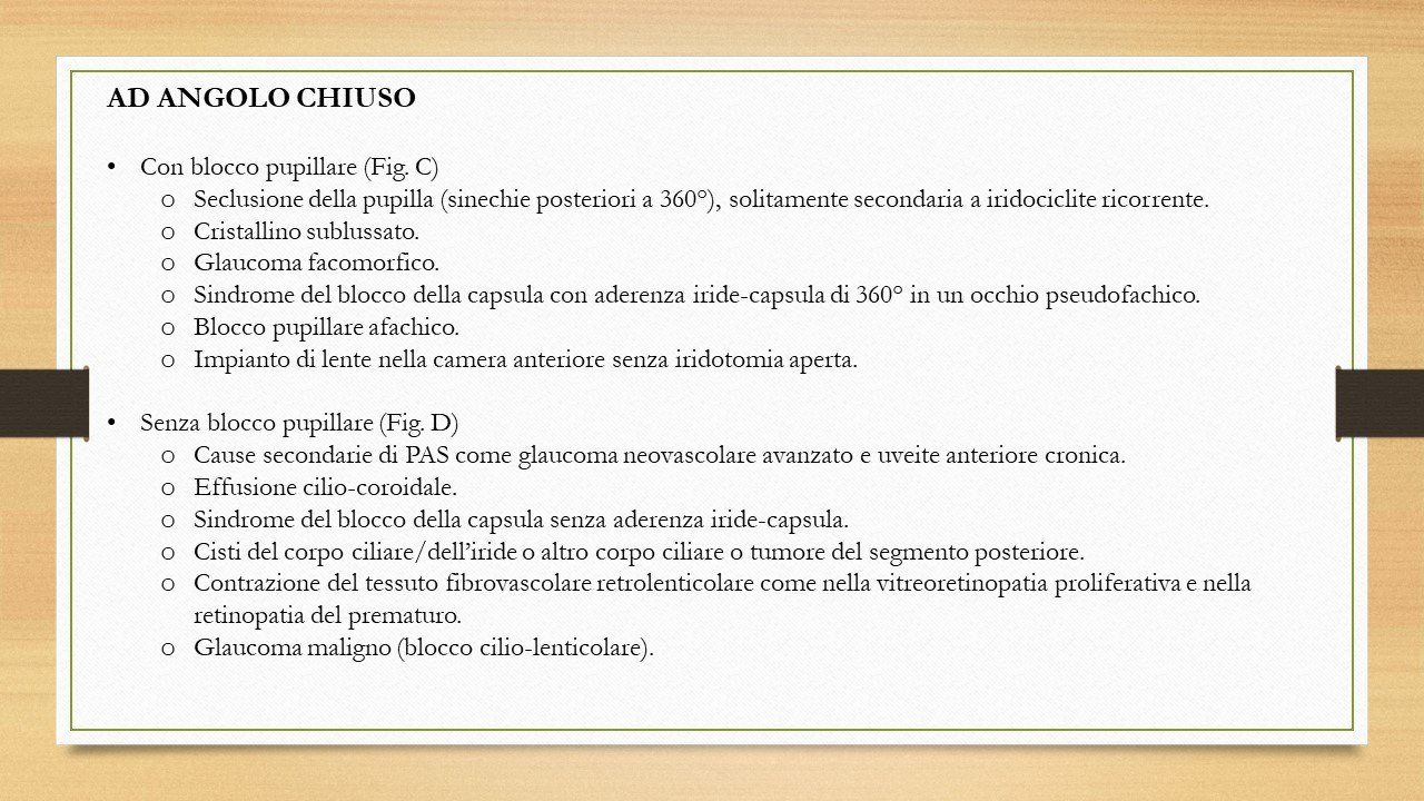 oculista, corsano, carucci, oculista carucci