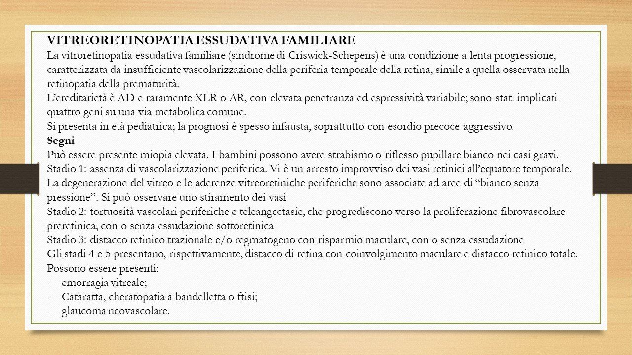 oculista, corsano, carucci, oculista carucci