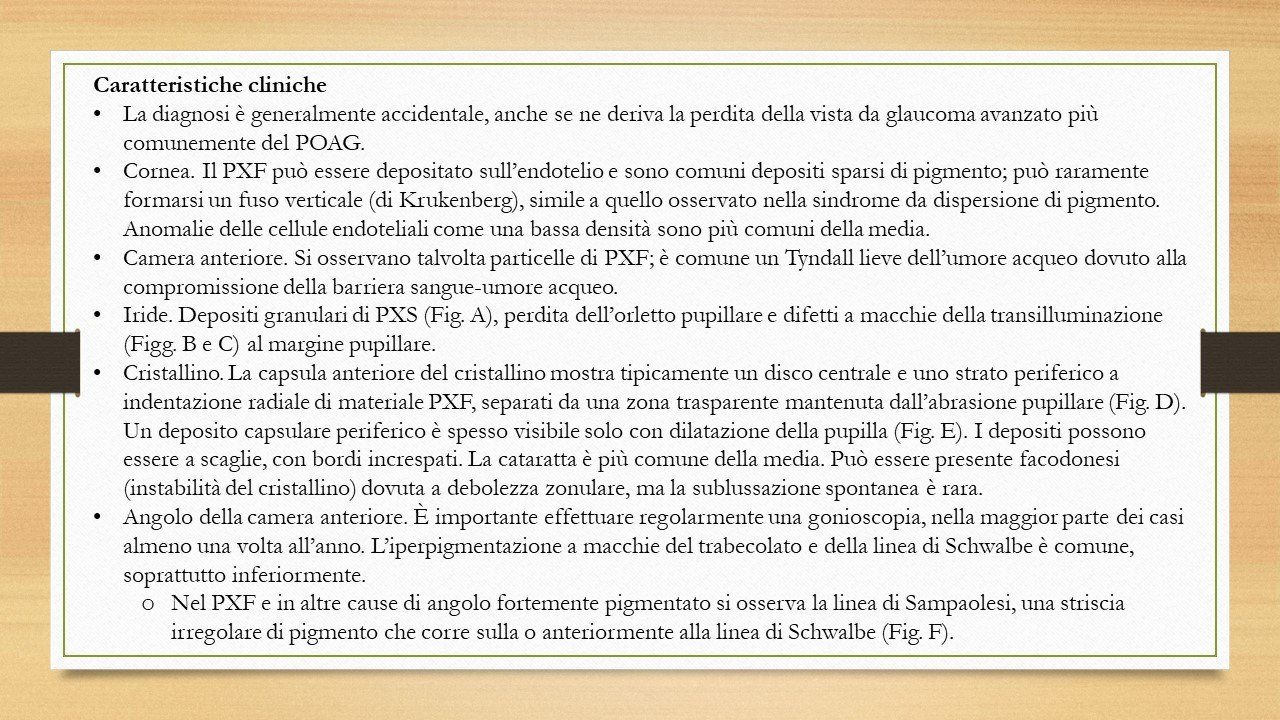 oculista, corsano, carucci, oculista carucci