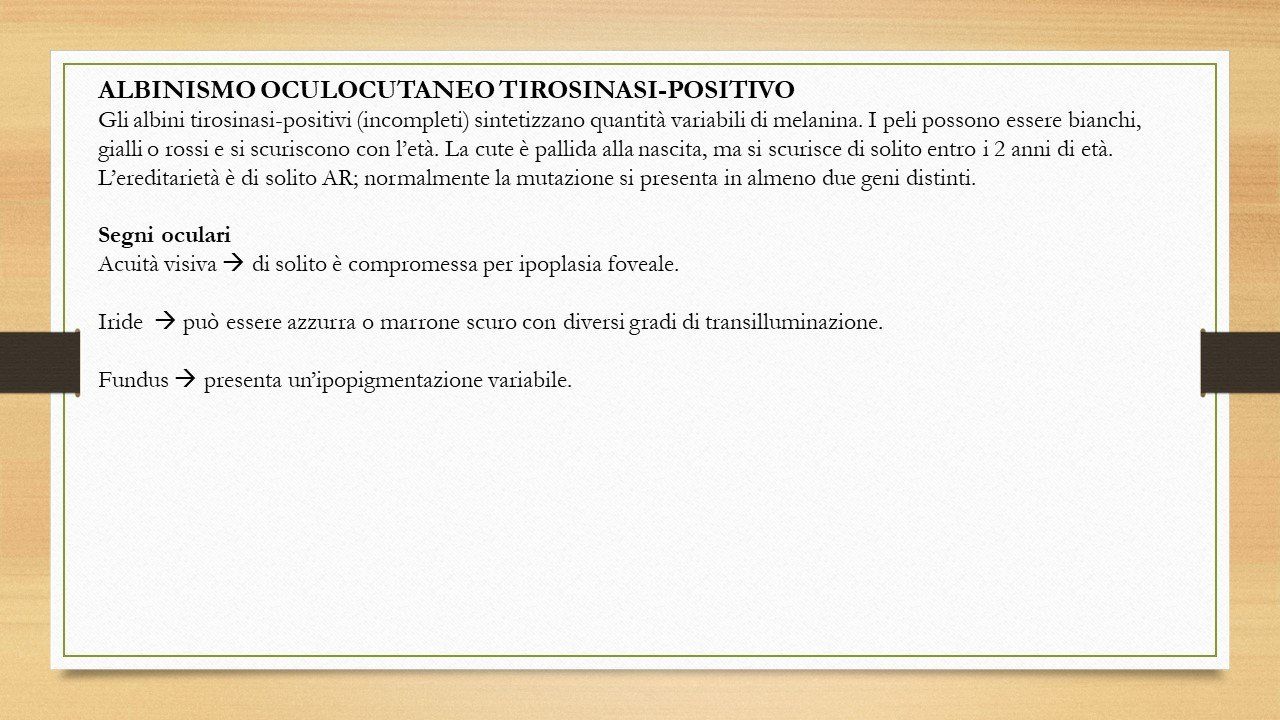 oculista, corsano, carucci, oculista carucci