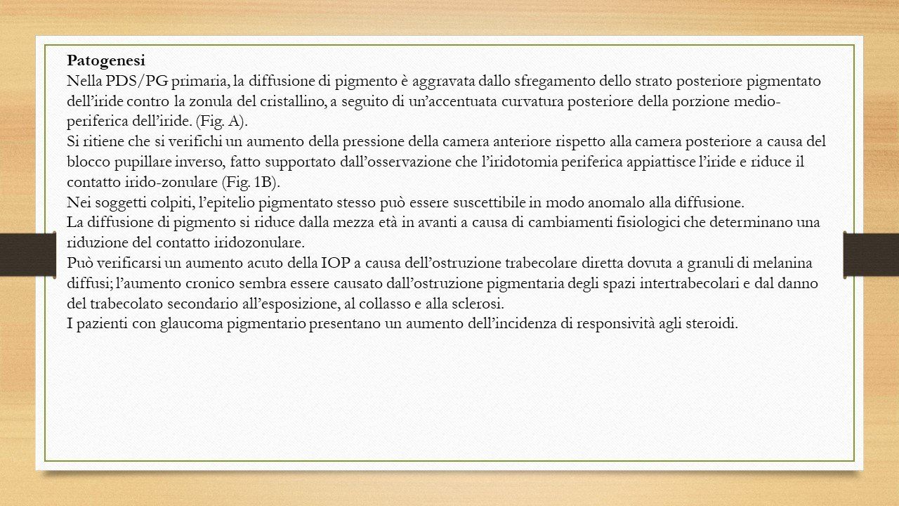 oculista, corsano, carucci, oculista carucci
