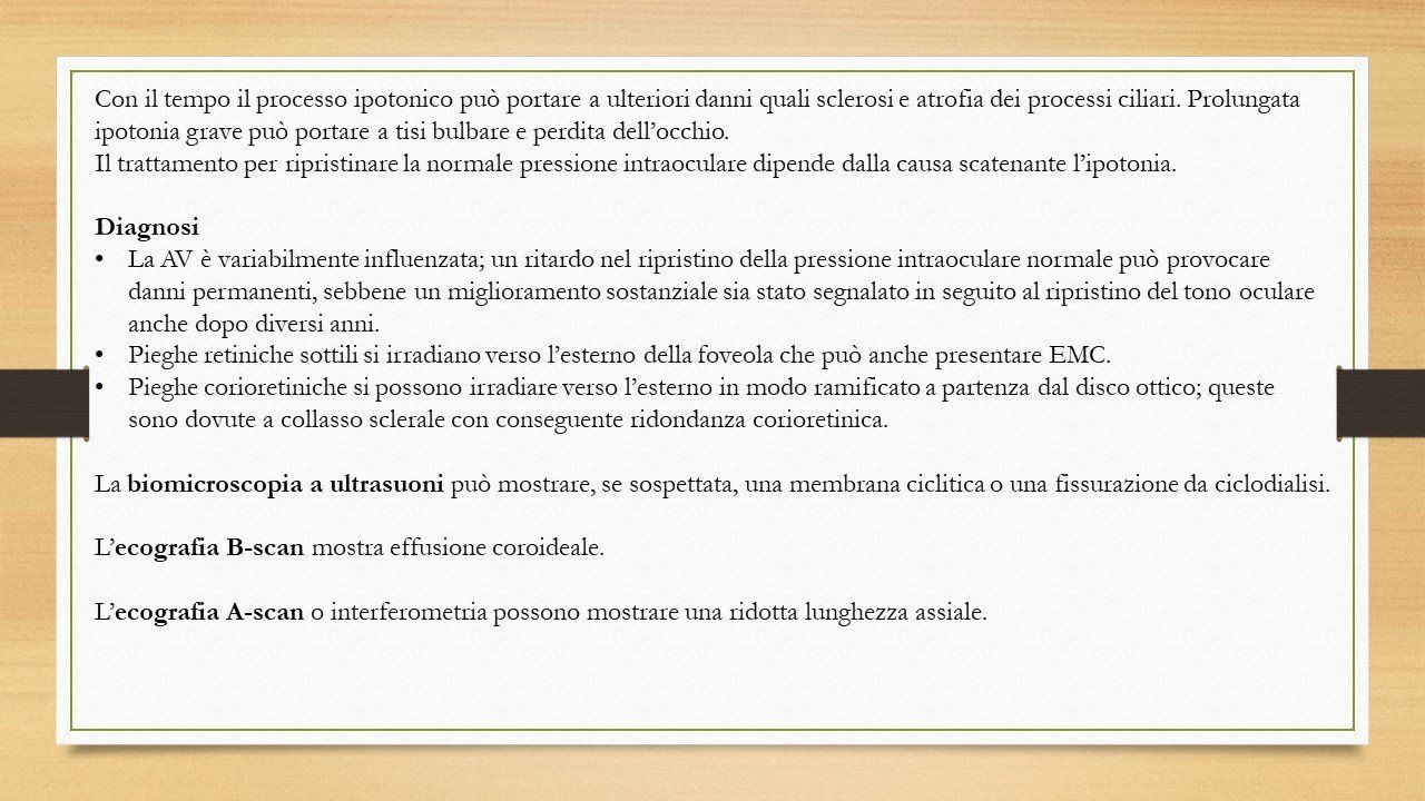 oculista, corsano, carucci, oculista carucci