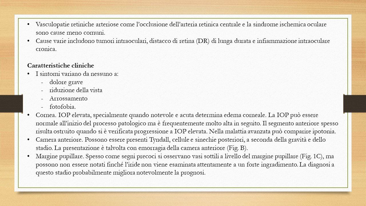 oculista, corsano, carucci, oculista carucci