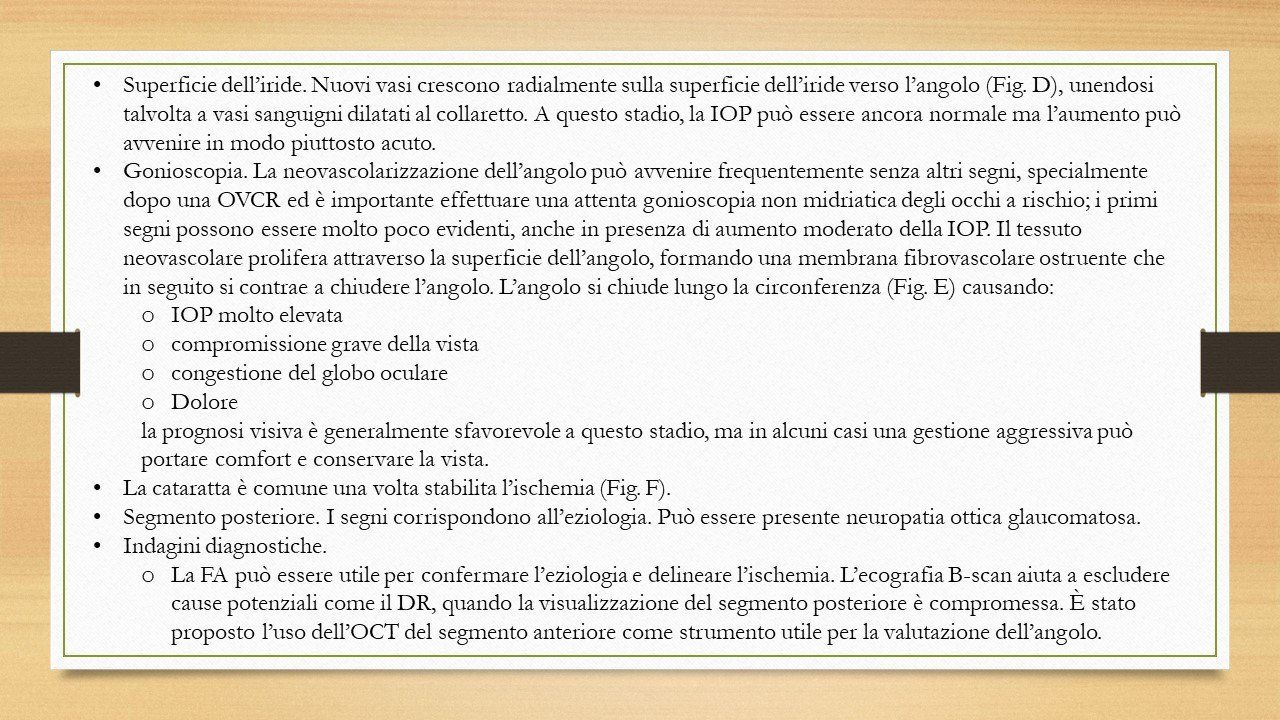 oculista, corsano, carucci, oculista carucci