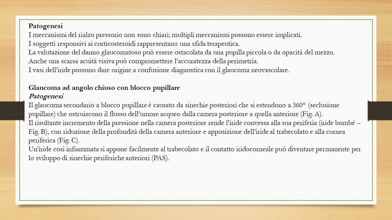 oculista, corsano, carucci, oculista carucci