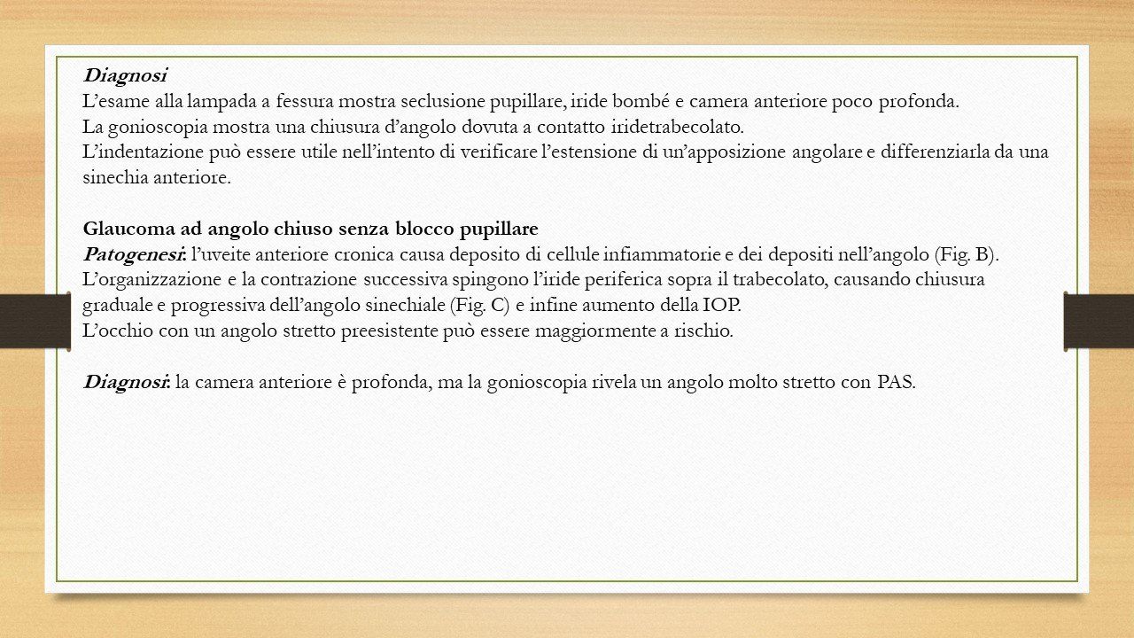 oculista, corsano, carucci, oculista carucci