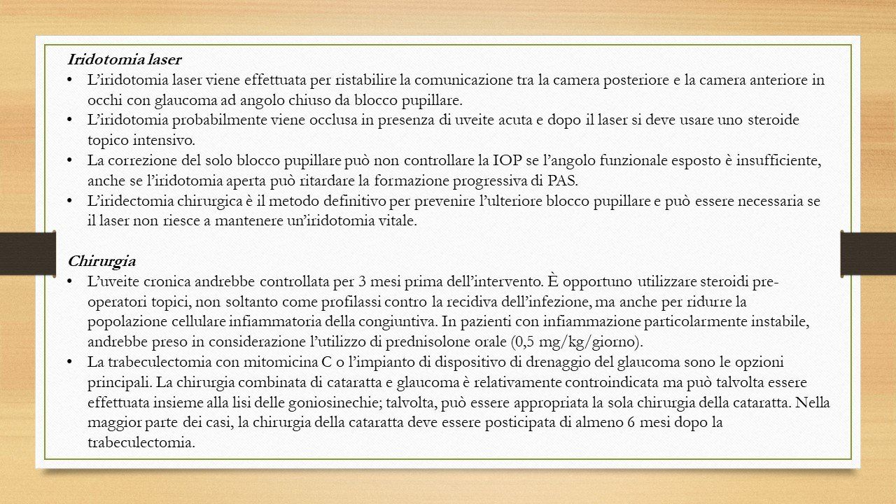 oculista, corsano, carucci, oculista carucci