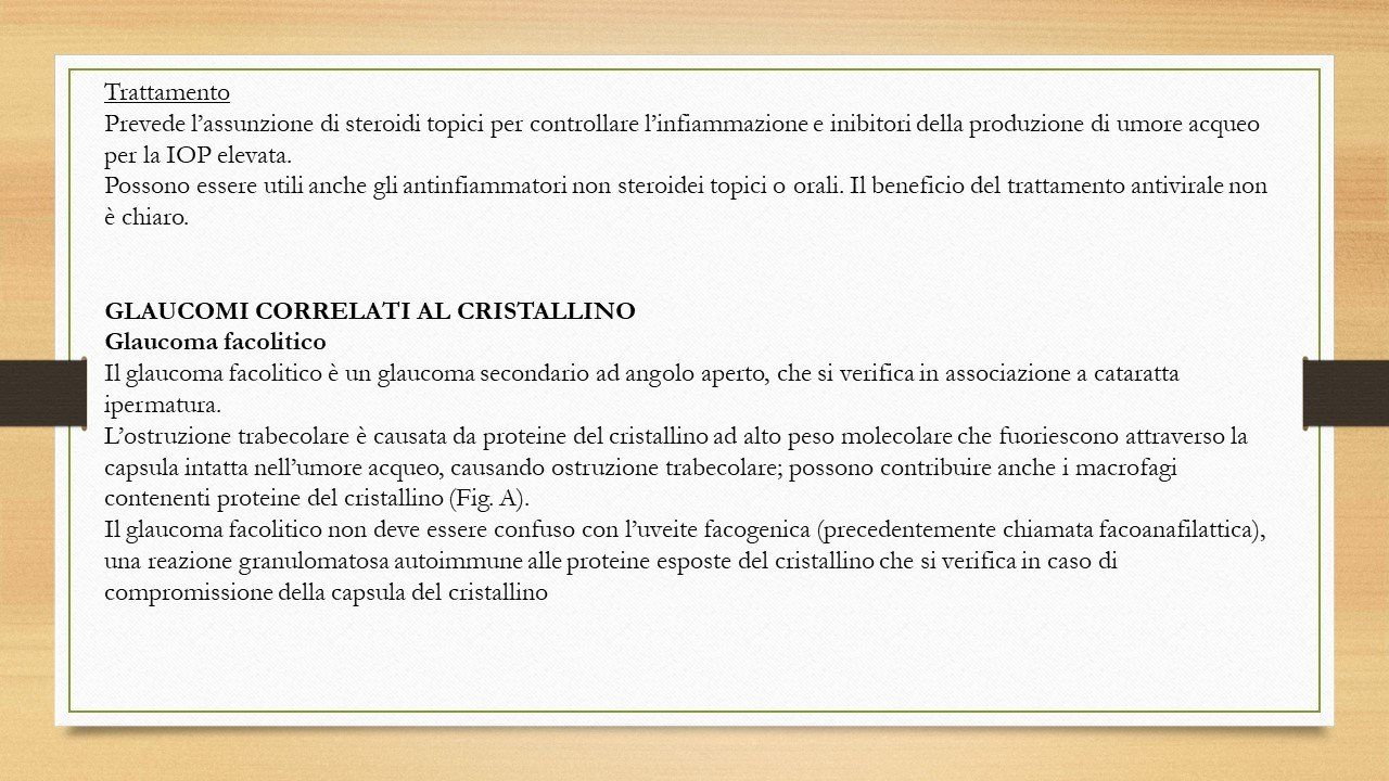 oculista, corsano, carucci, oculista carucci