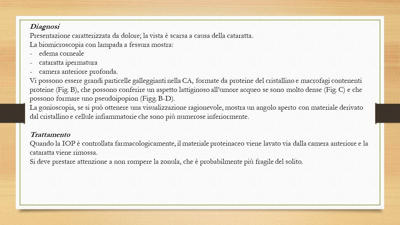 oculista, corsano, carucci, oculista carucci