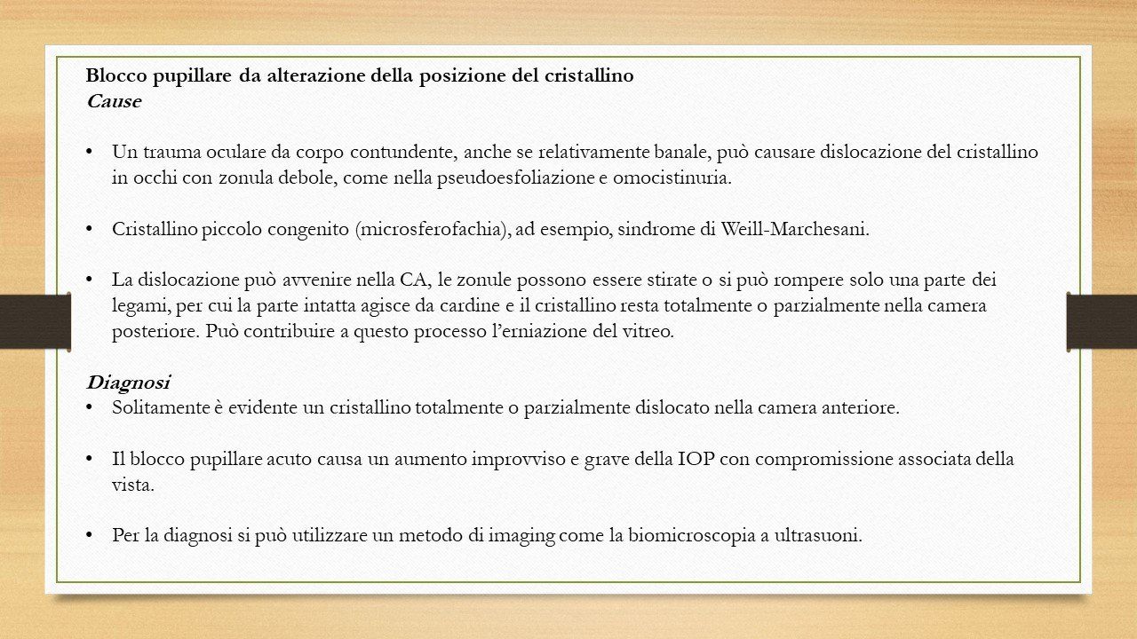 oculista, corsano, carucci, oculista carucci