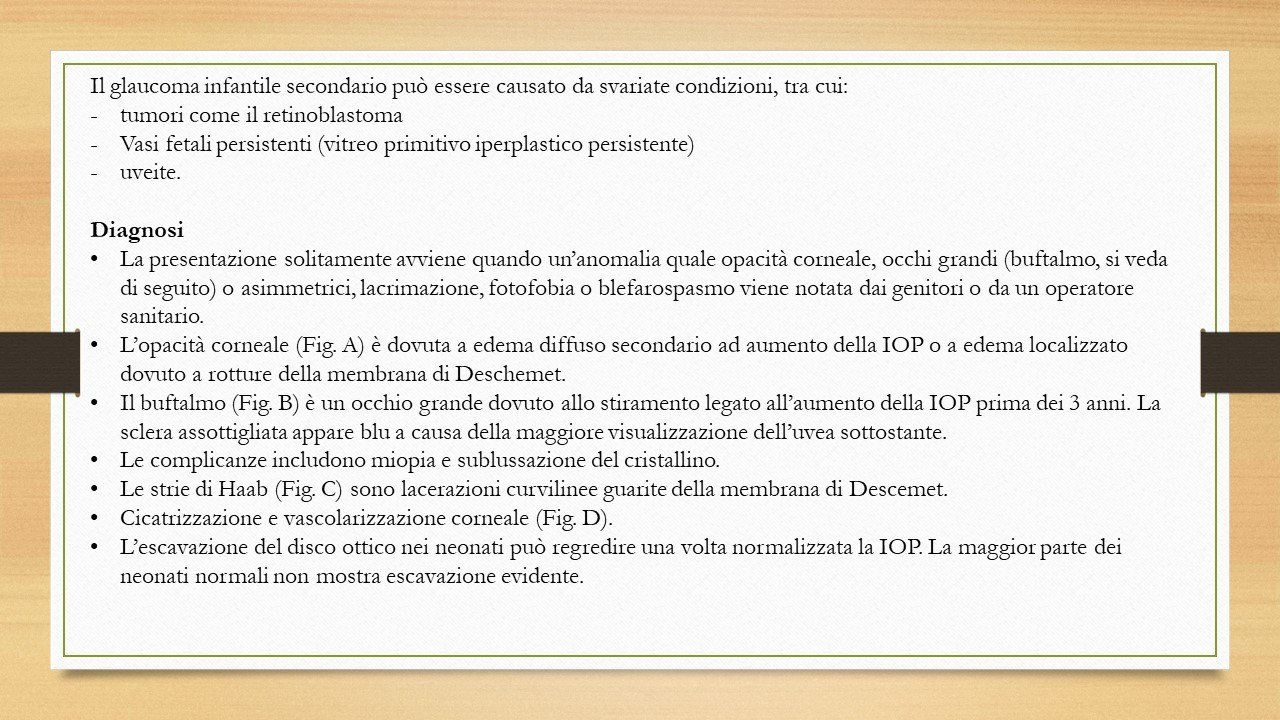 oculista, corsano, carucci, oculista carucci