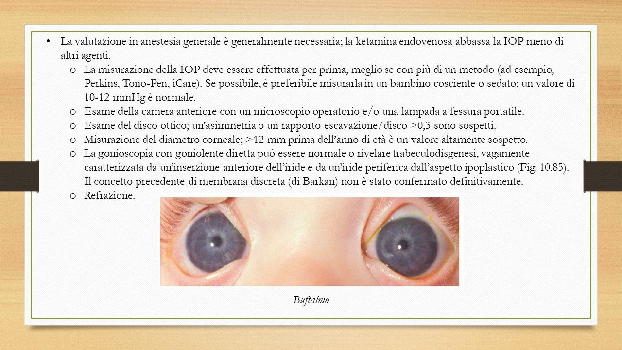 oculista, corsano, carucci, oculista carucci