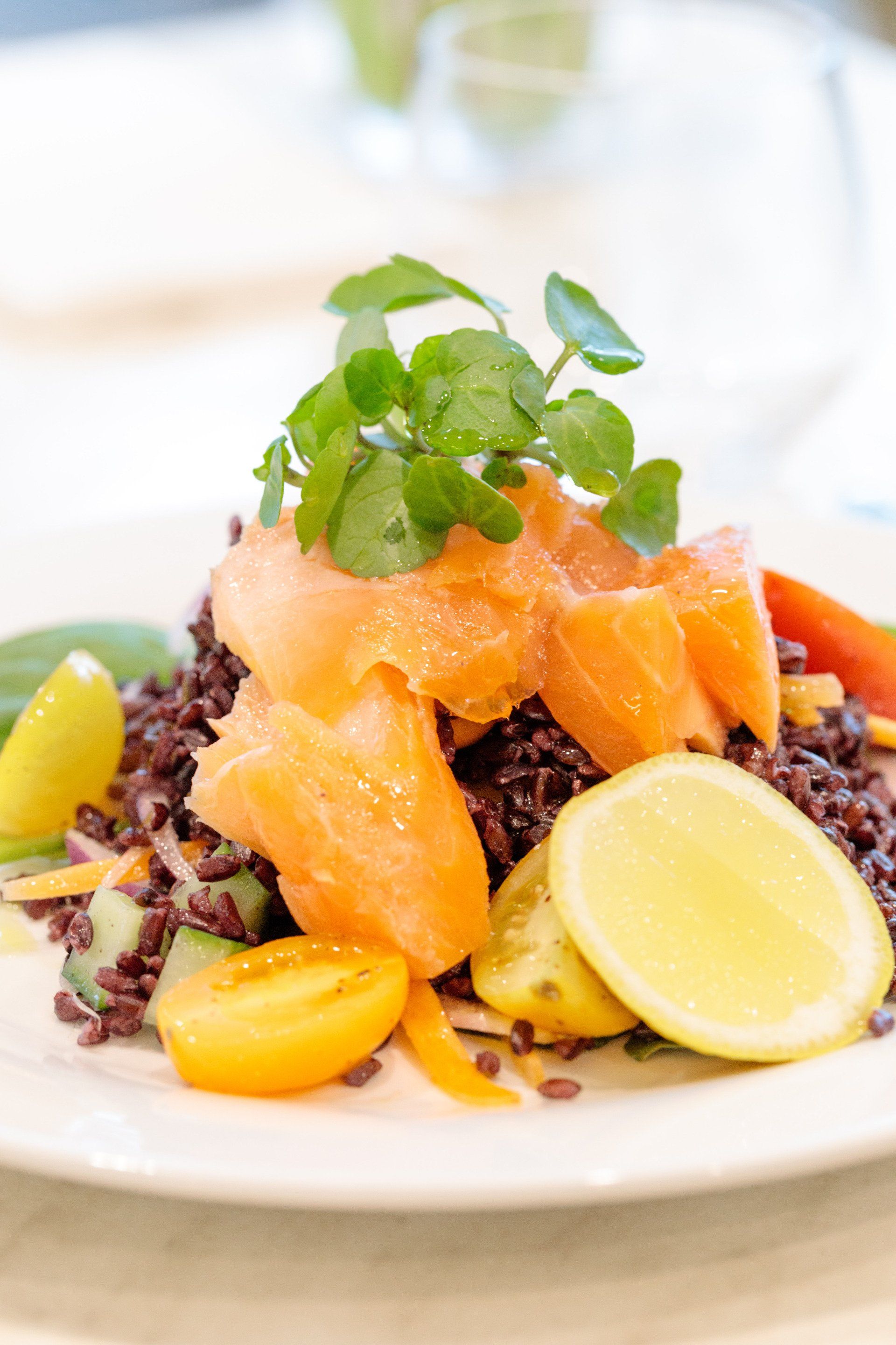 raw salmon meal