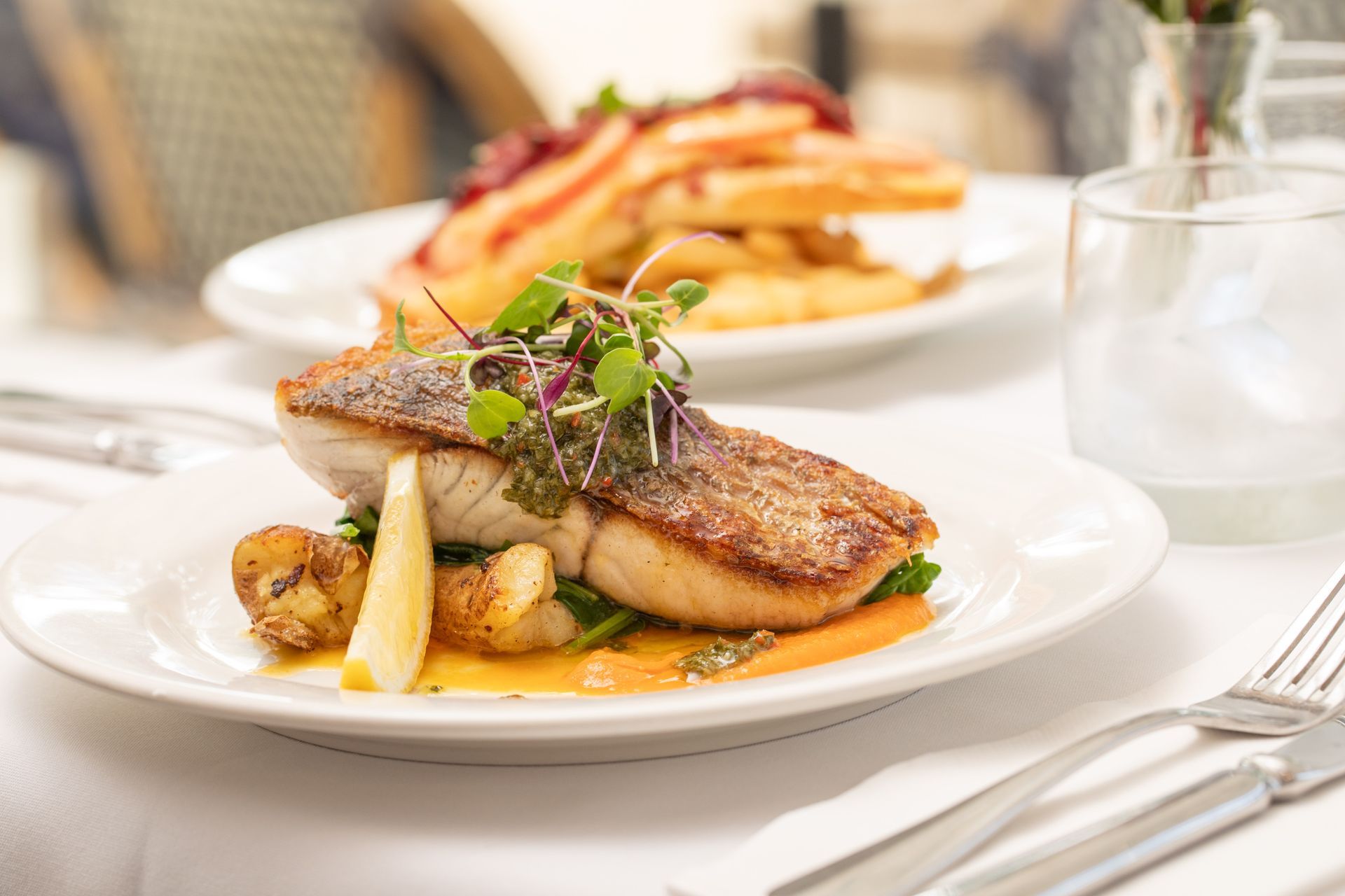 Salmon Dish