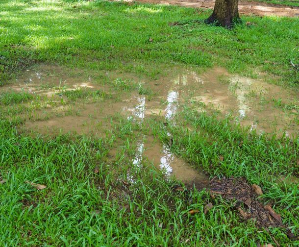 DRAINAGE