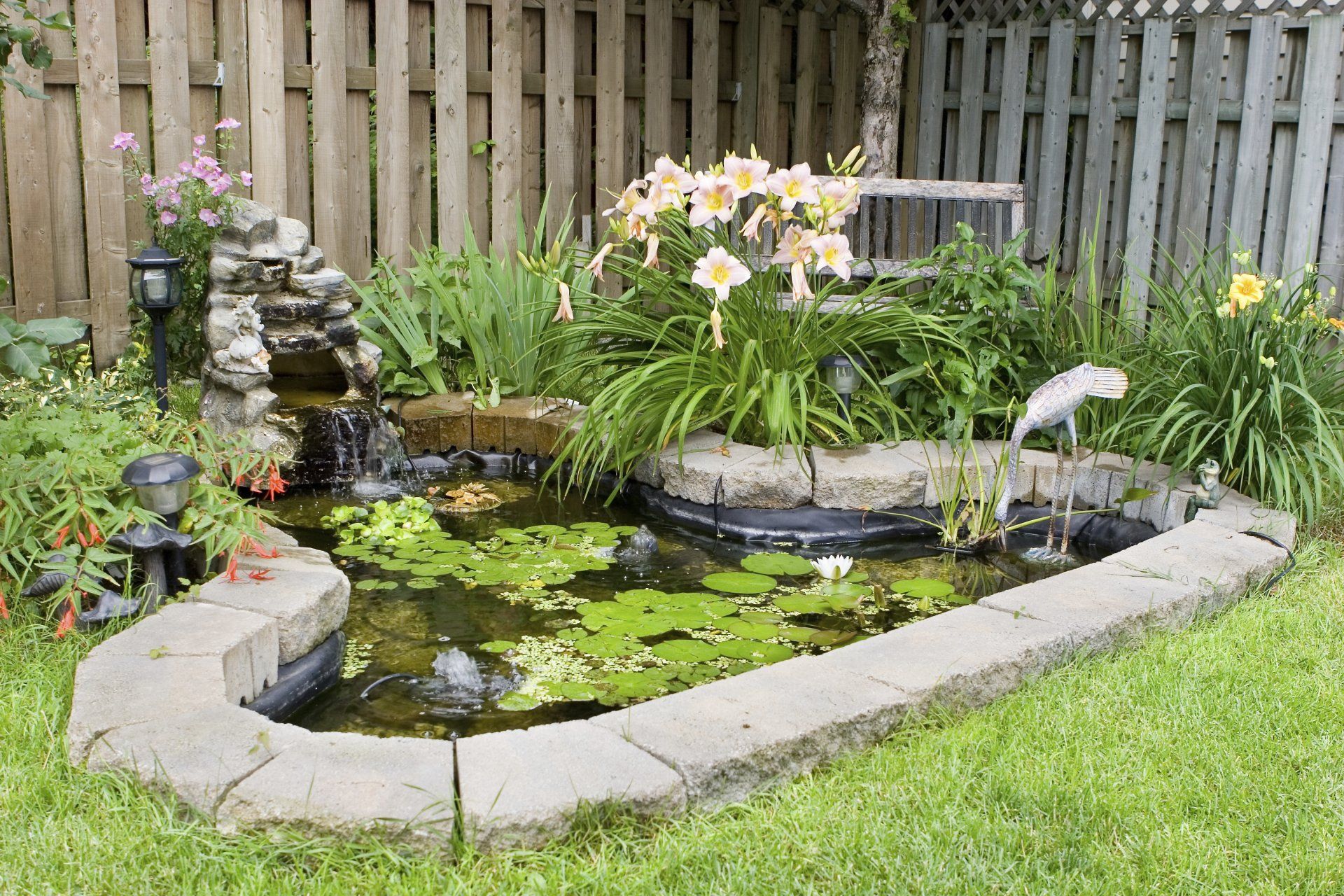Photo gallery showing a koi pond, water fountain, and backyard pond