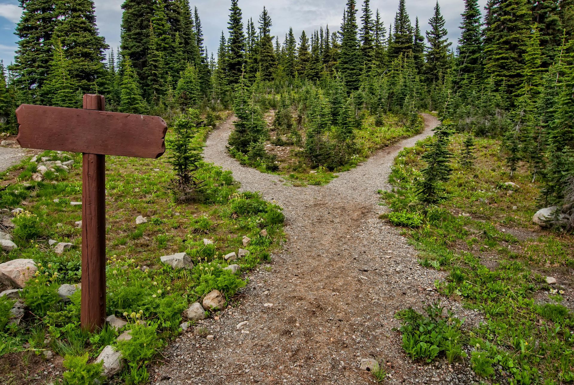 Rusty signpost at trail fork in forest, gravel paths, evergreen trees.