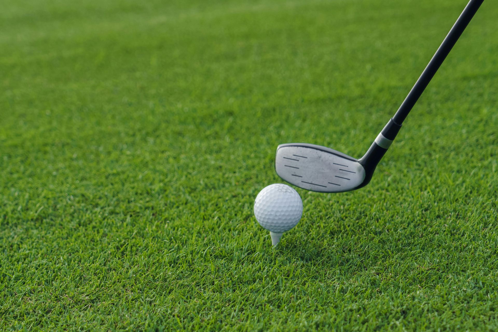 Golf club about to hit a white golf ball on a tee, set on green grass.