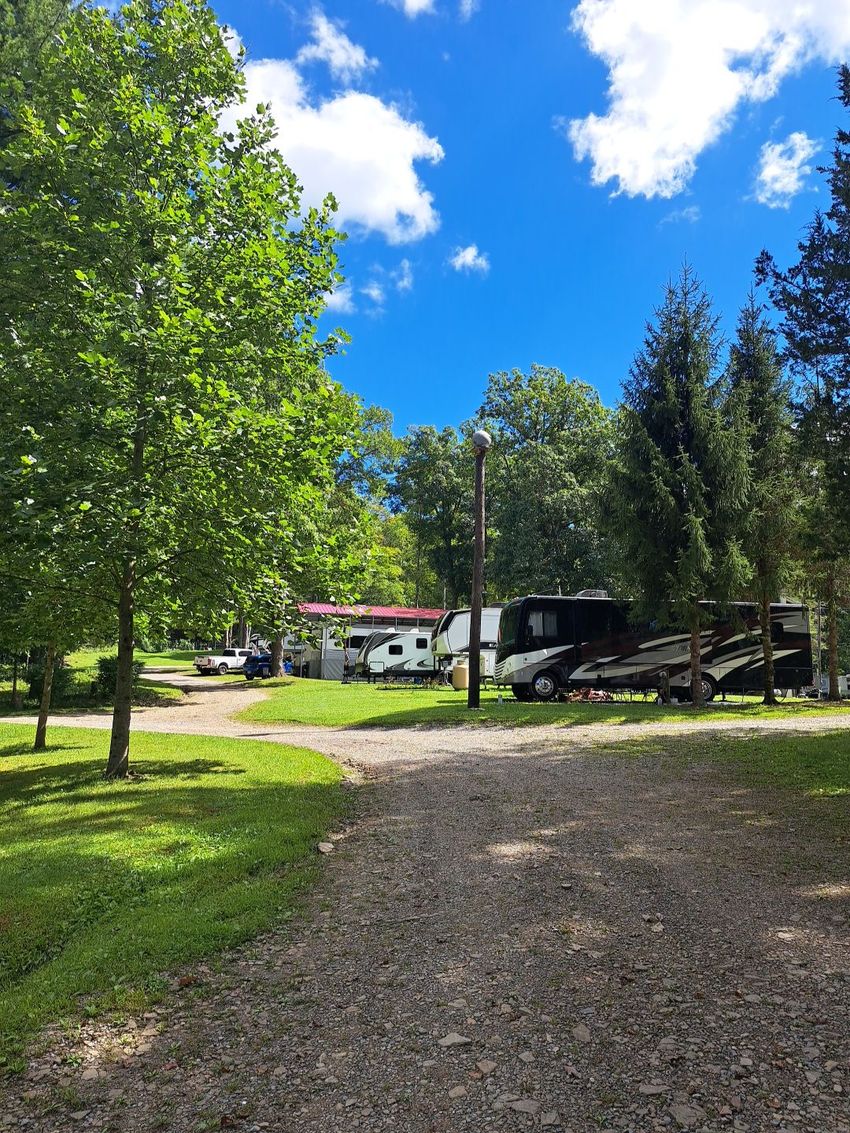 Gravel driveway beside green trees, with RVs and a small white house under a bright blue sky.
