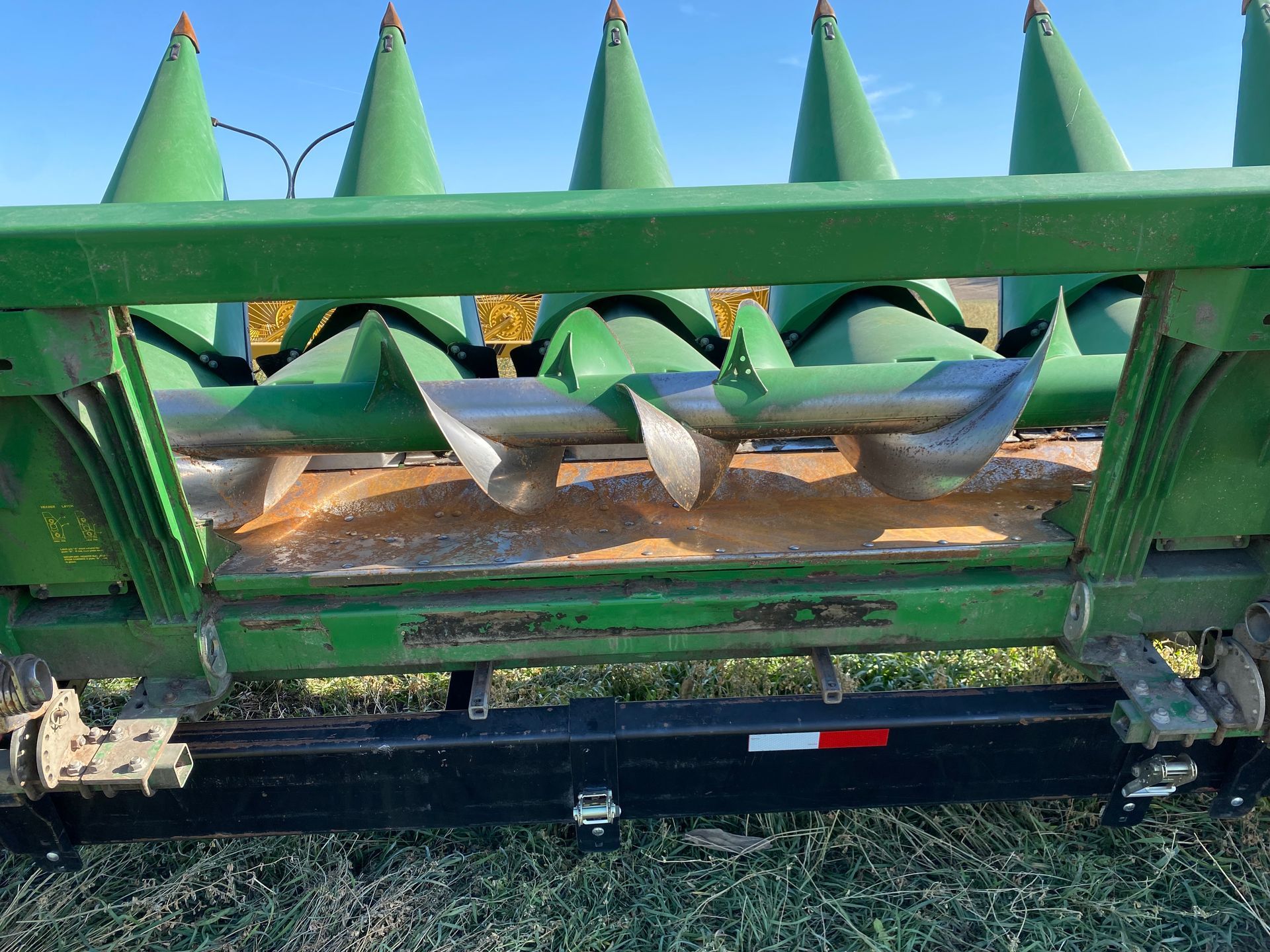 Green corn head closeup
