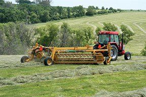 A red tractor with a hay rake in a field of cut hay. Green grass and trees in the background.
