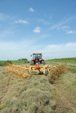 Tractor raking hay in a field under a blue sky.