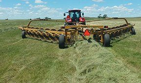 Tractor pulling a hay rake, gathering cut grass in a field on a sunny day.