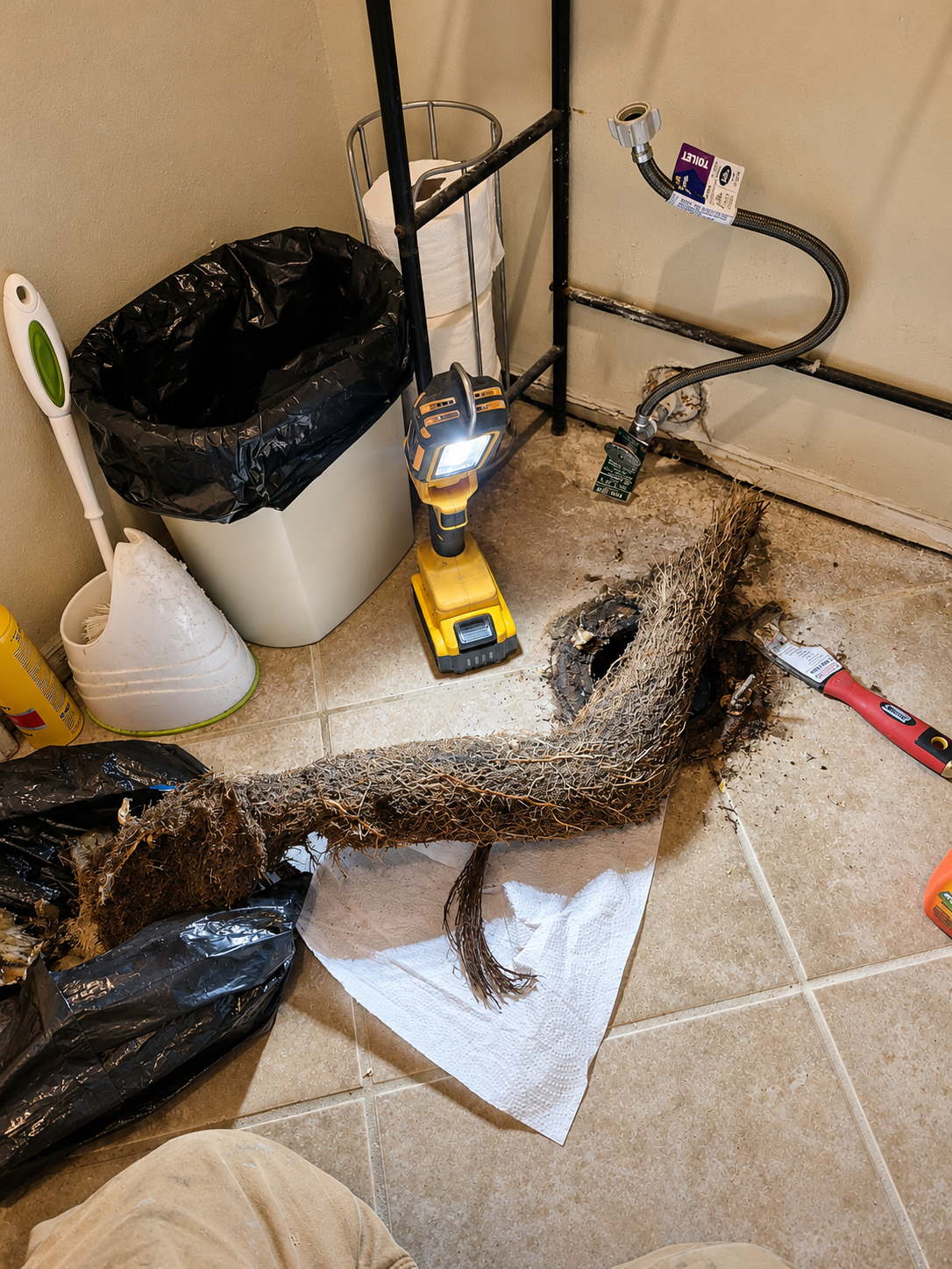 Dead lizard on a bathroom floor beside a trash can, flashlight, and cleaning tools