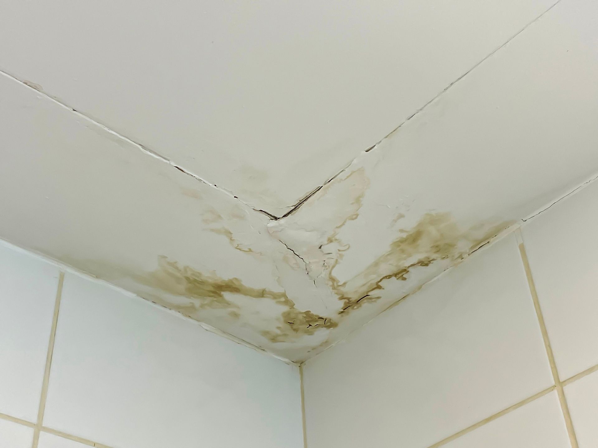 Bathroom ceiling corner with water stains and mold above white tiled walls