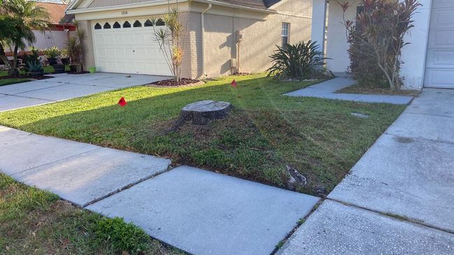 Front yard with grass, sidewalk, driveway, and a tree stump. A house and garage are in the background.