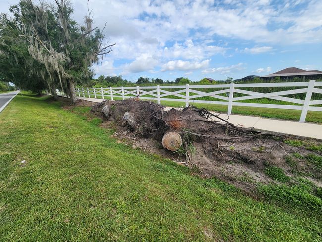 Green grass, dirt, and debris alongside a sidewalk and white fence. Sky and a house in the background.