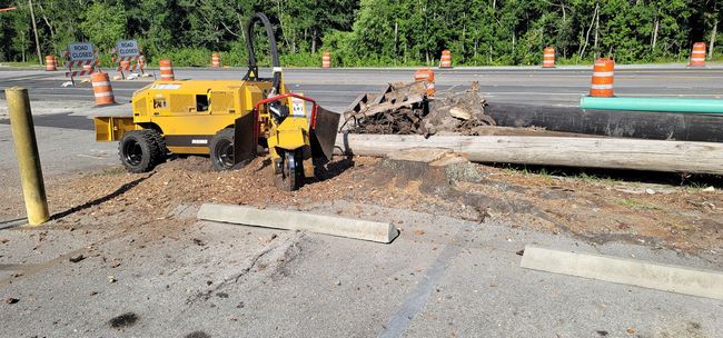 A yellow stump grinder in a parking lot grinding a large tree stump. Green trees and orange cones are in the background.