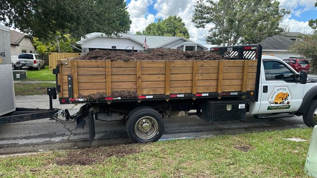 Truck bed filled with mulch on a residential street. Side of truck shows a logo with a beaver.